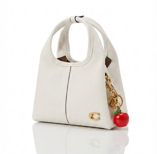 Coach Teri Hobo Bag