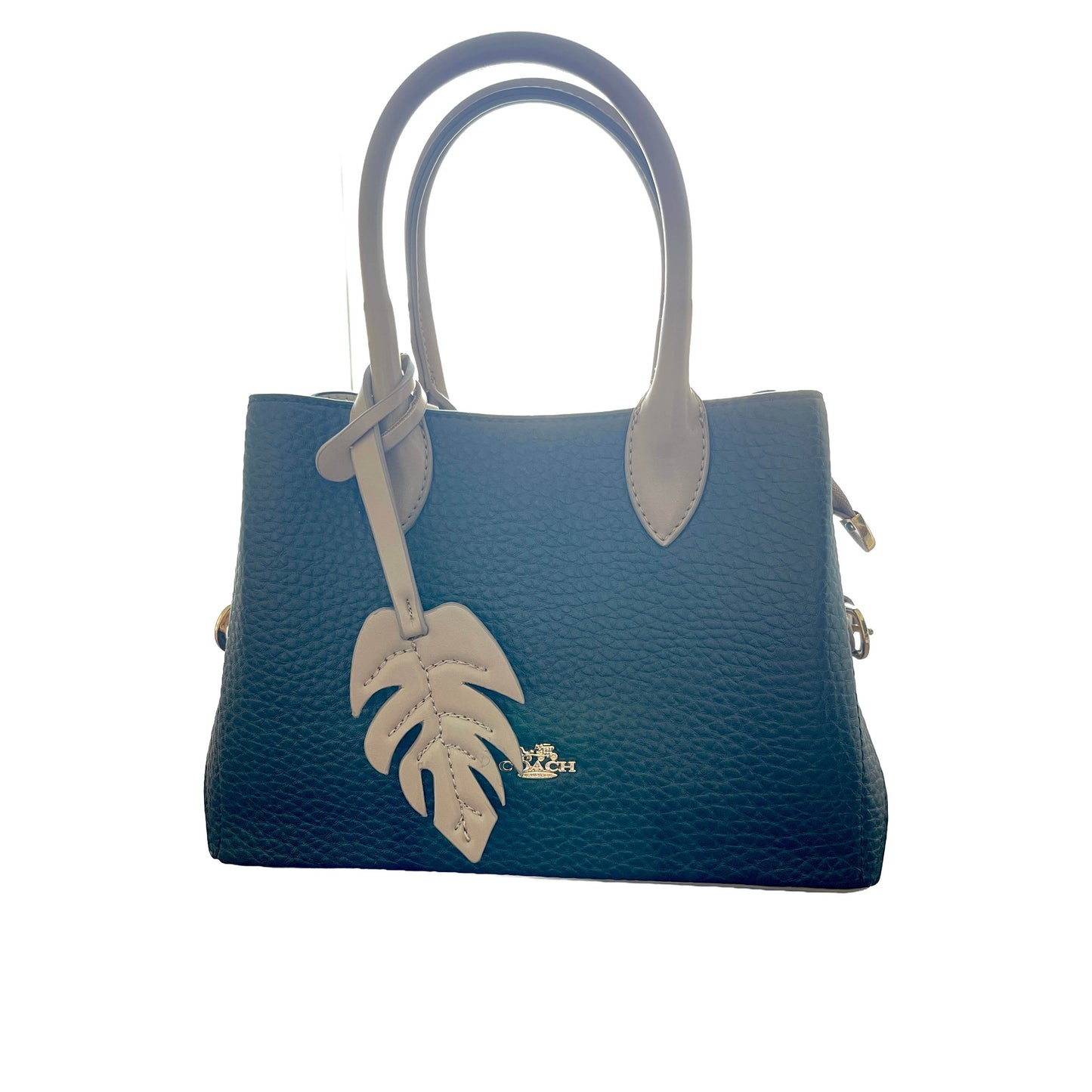 Coach Darlie Carryall Navy Blue - White Background