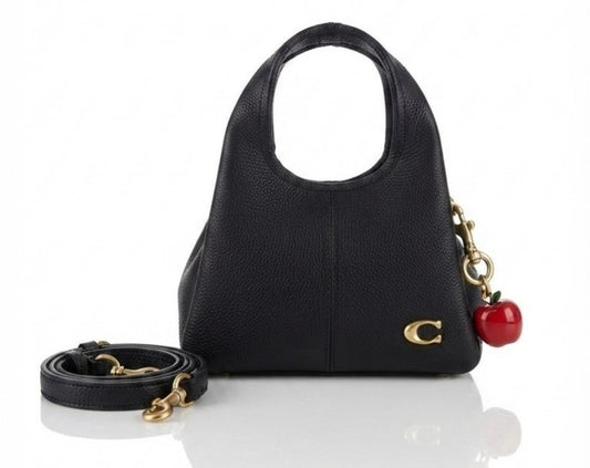 Coach Teri Hobo Bag